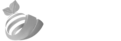 Boshi